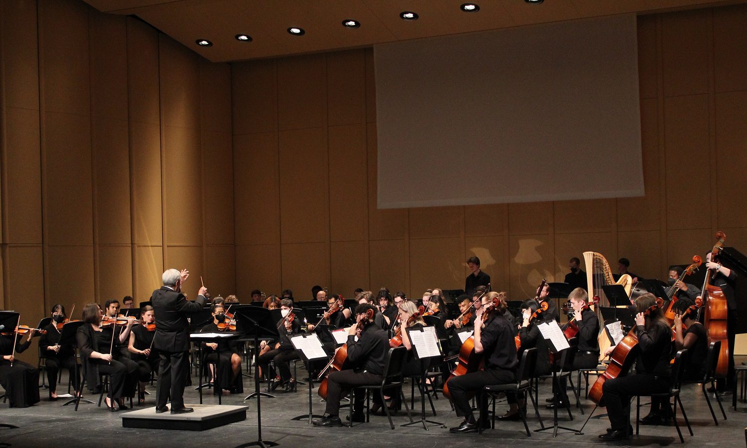 orchestra on stage