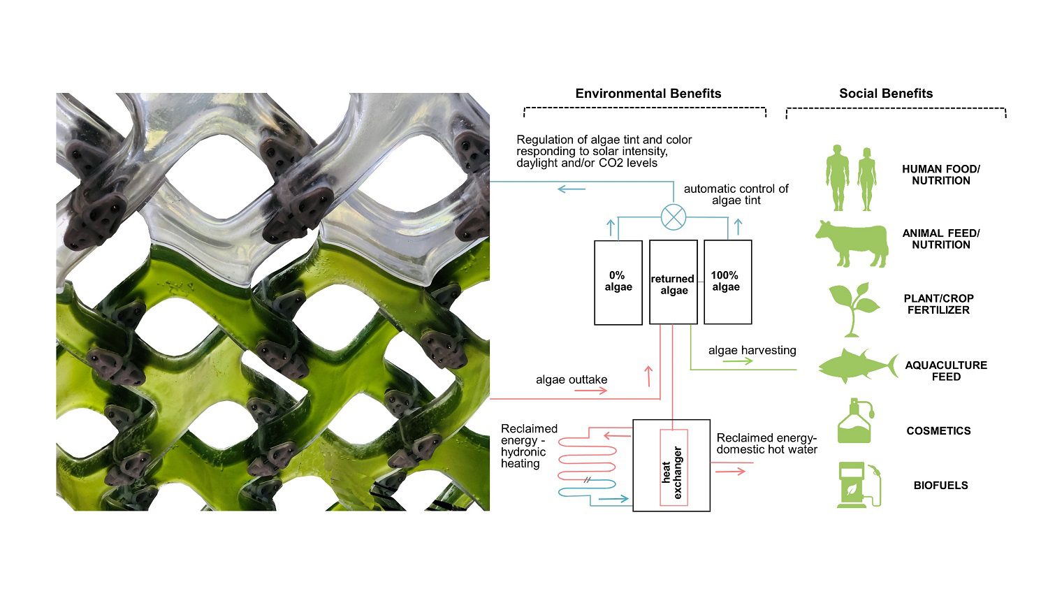 diagram that shows benefits of the microalgae window